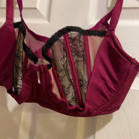 Cacique - Picture 2 of 9